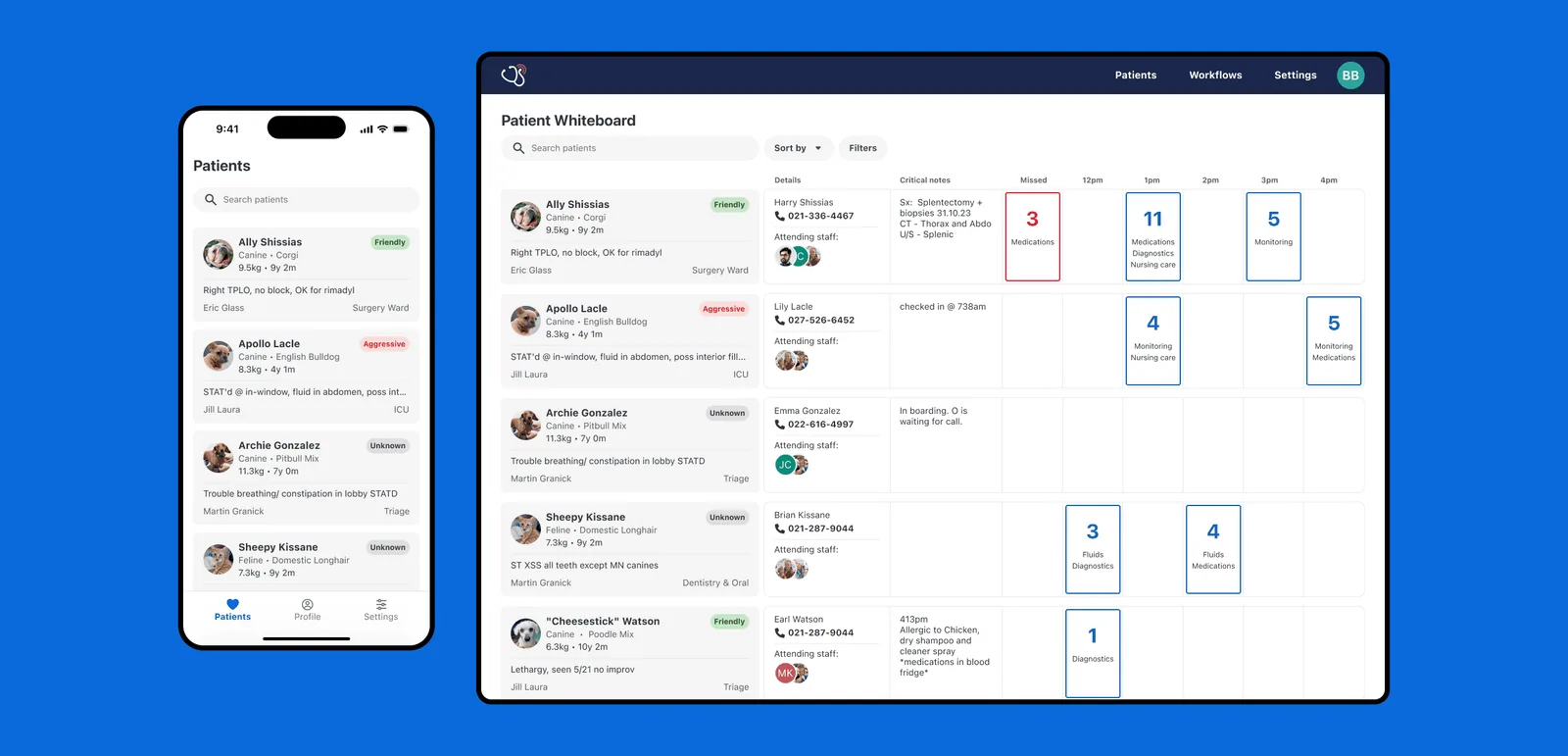 Vet Radar patient whiteboard on desktop and mobile.